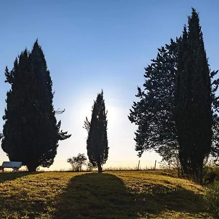 D'hotes La Mascrabiere Bed &