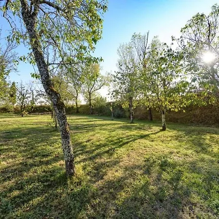 D'hotes La Mascrabiere Bed & 4*